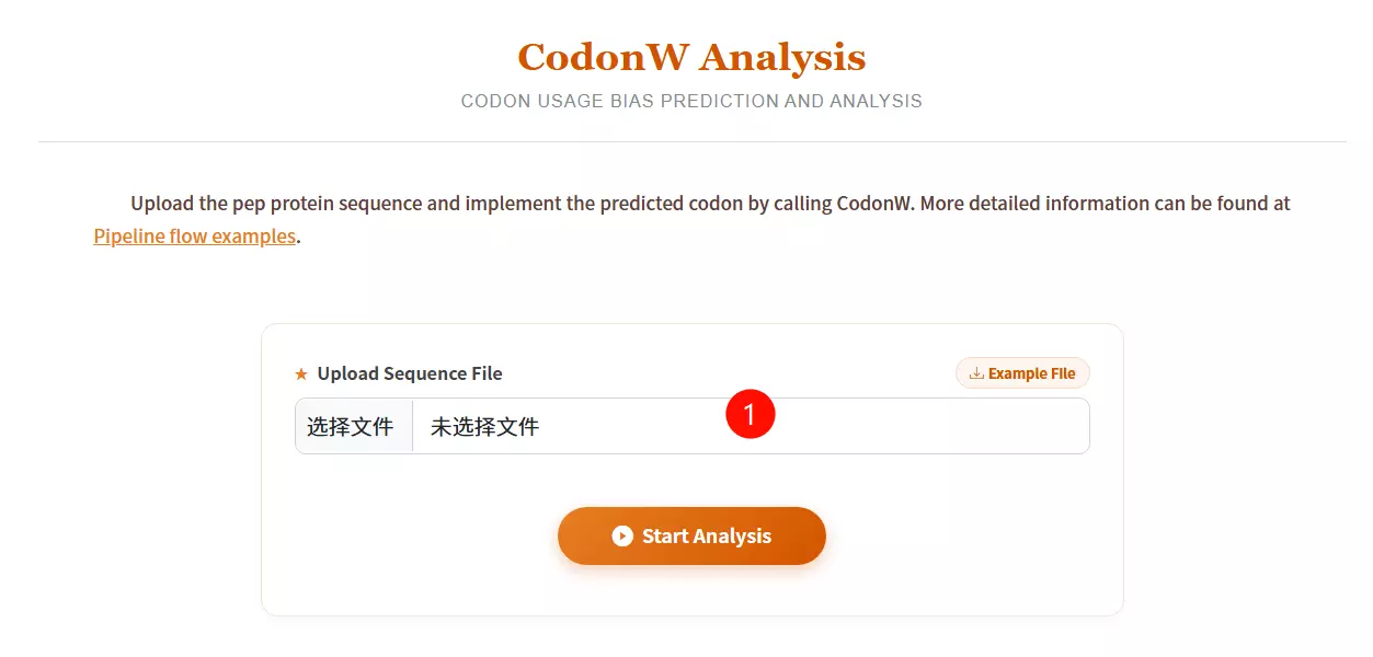 CodonW Usage