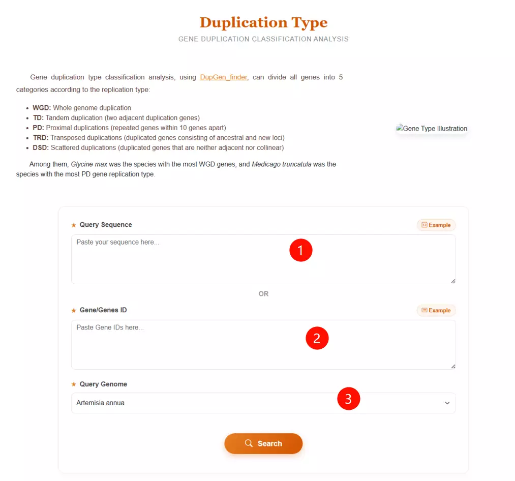 Duplication_Type Usage