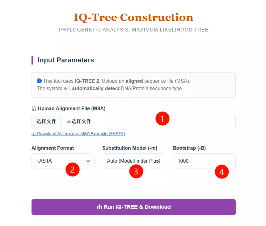 IQ-Tree Usage