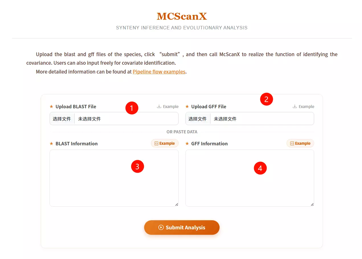 MCScanX Usage