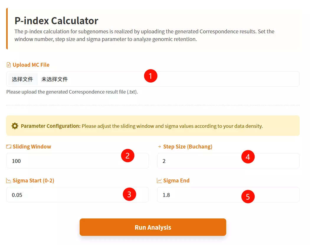 P-index_Calculator Usage