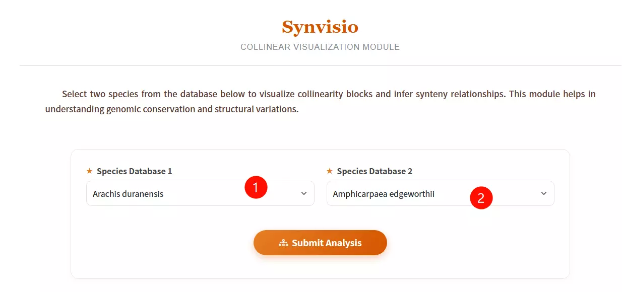 Synvisio Usage
