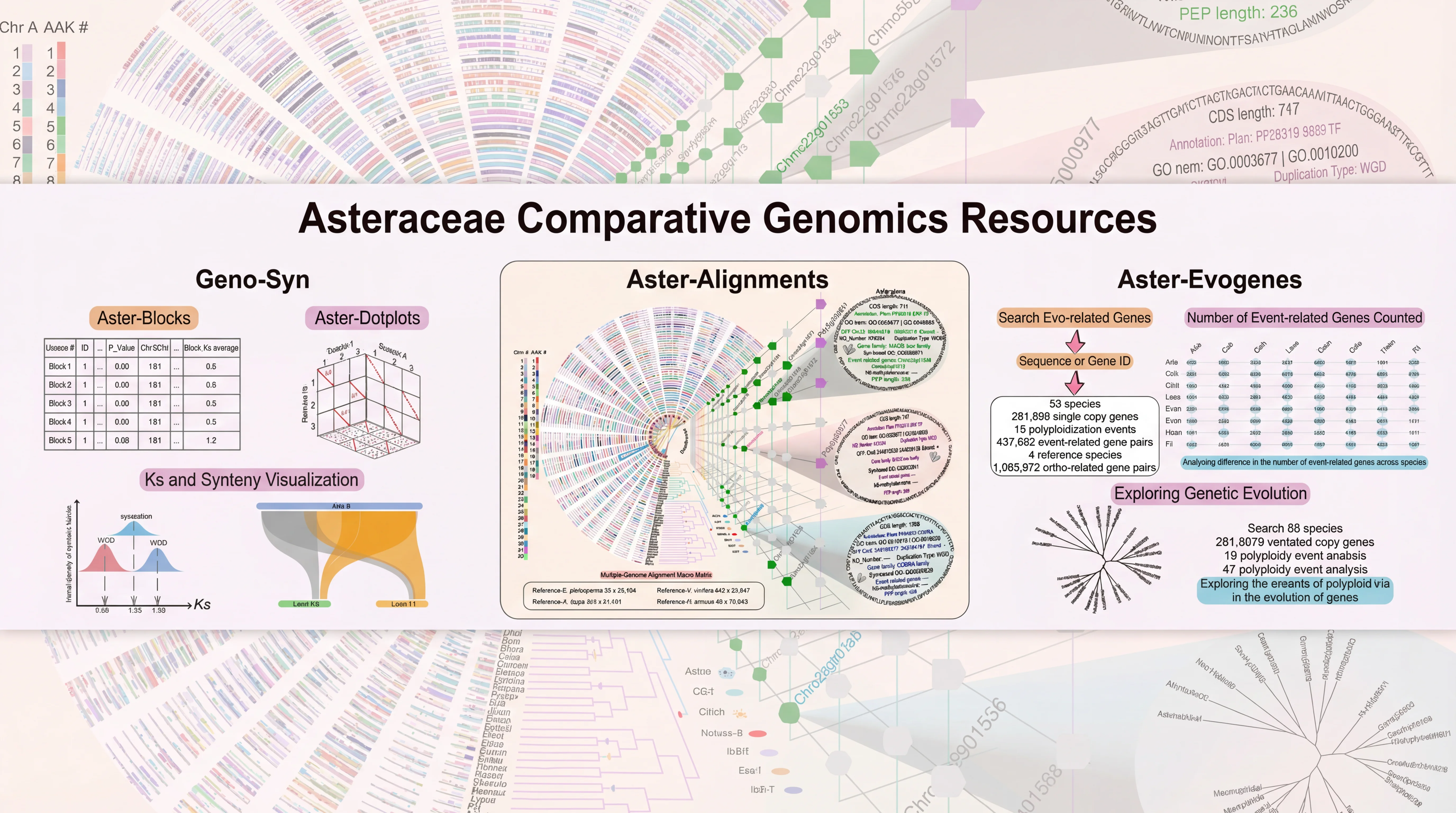 Comparative Genomics