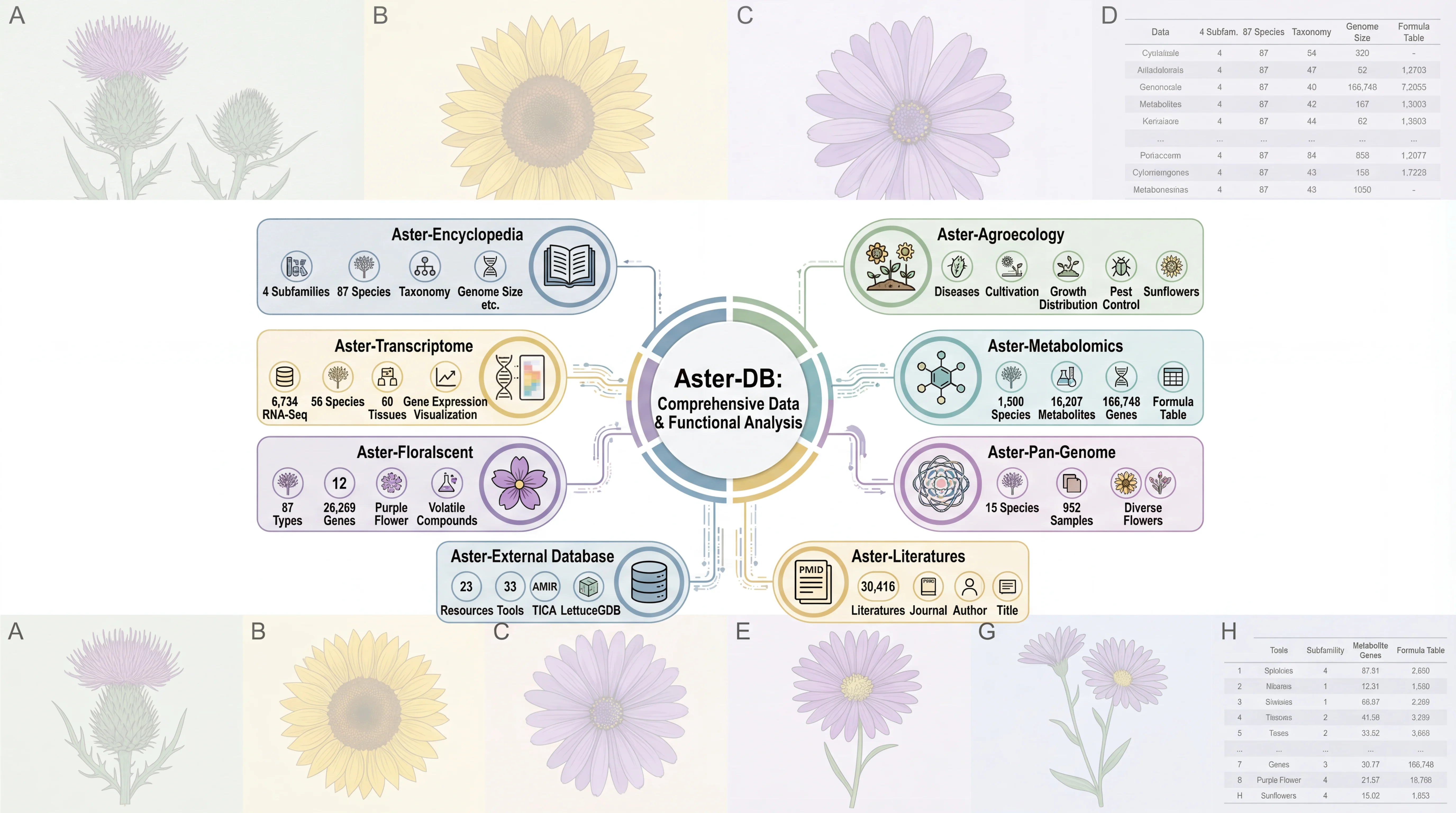 Aster-DB